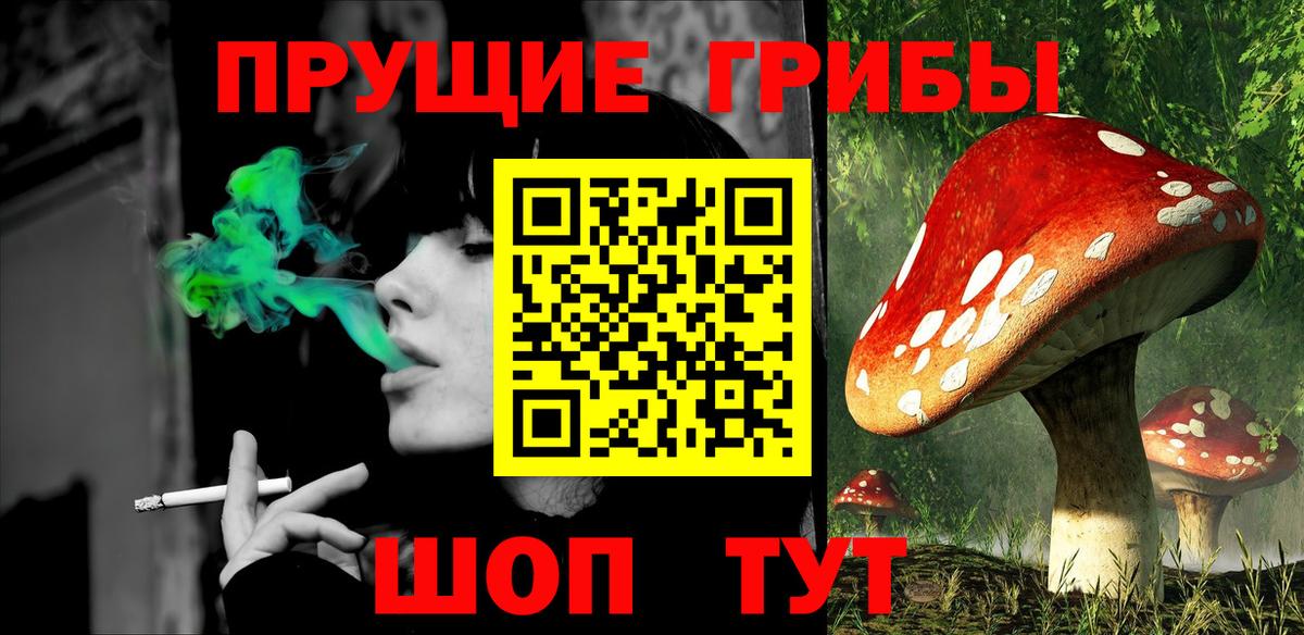 Псилоцибиновые грибы MAGIC MUSHROOMS Курчалой