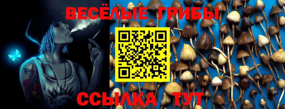 Курчалой  Псилоцибиновые грибы Cubensis  Псилоцибиновые грибы ЛСД  Вход с VPN 